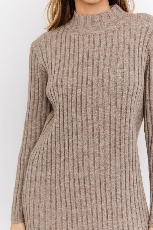 Turtle Neck Sweater Dress